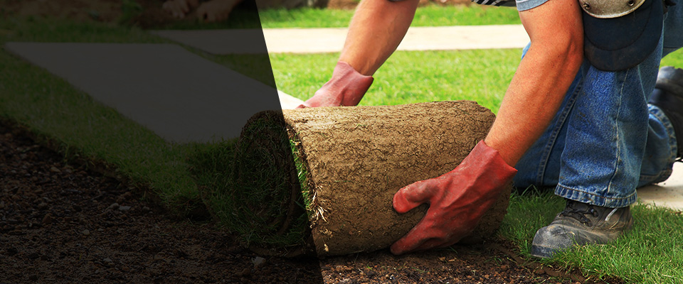 Kennedale Landscapers